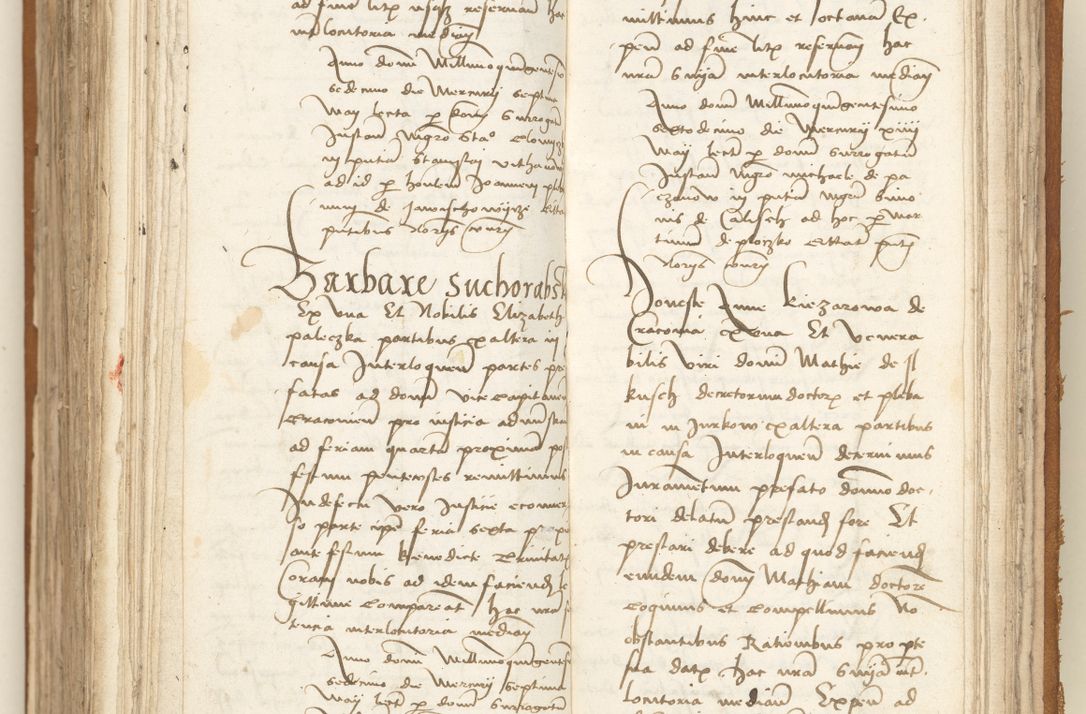 Zdjęcie nr 359 dla obiektu archiwalnego: [Acta sententiarum vicarialia coram Sigismundo de Targowsko]