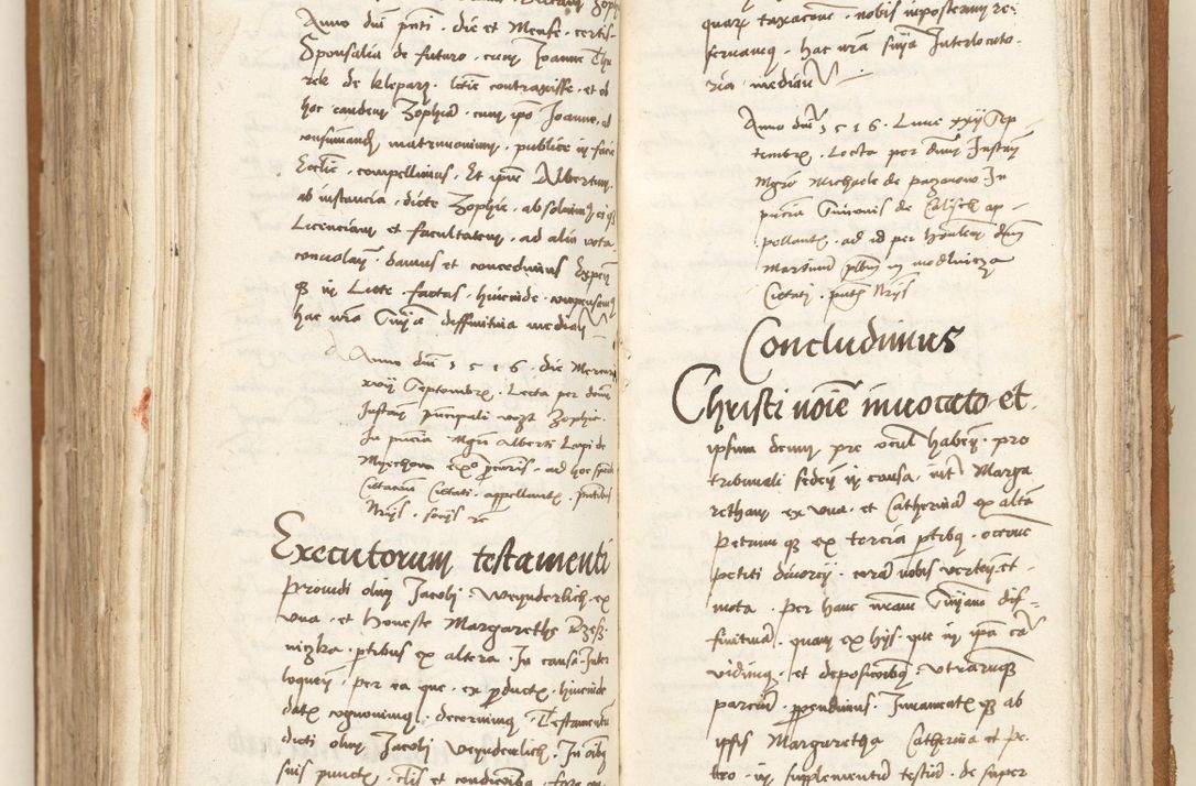 Zdjęcie nr 355 dla obiektu archiwalnego: [Acta sententiarum vicarialia coram Sigismundo de Targowsko]