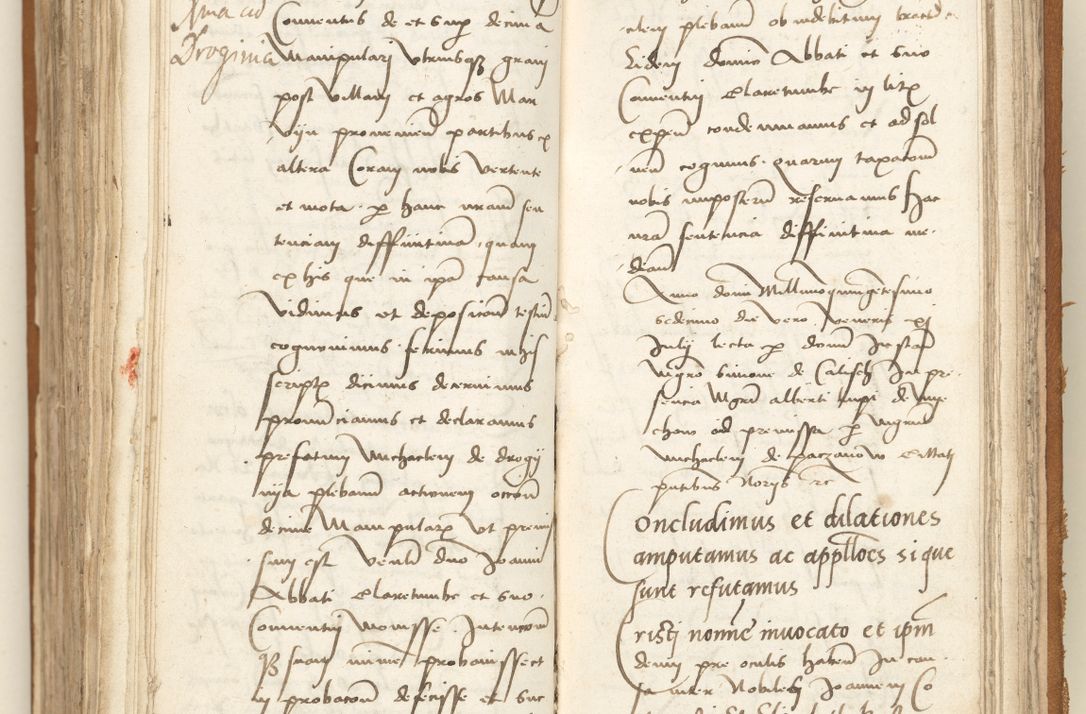 Zdjęcie nr 349 dla obiektu archiwalnego: [Acta sententiarum vicarialia coram Sigismundo de Targowsko]