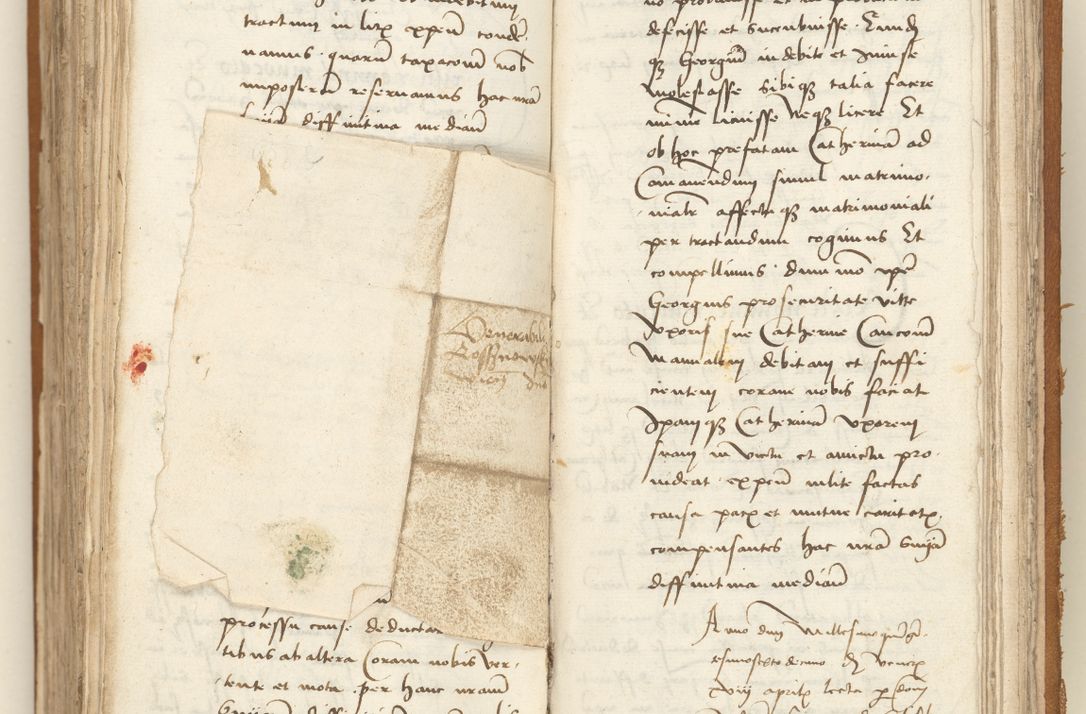 Zdjęcie nr 343 dla obiektu archiwalnego: [Acta sententiarum vicarialia coram Sigismundo de Targowsko]