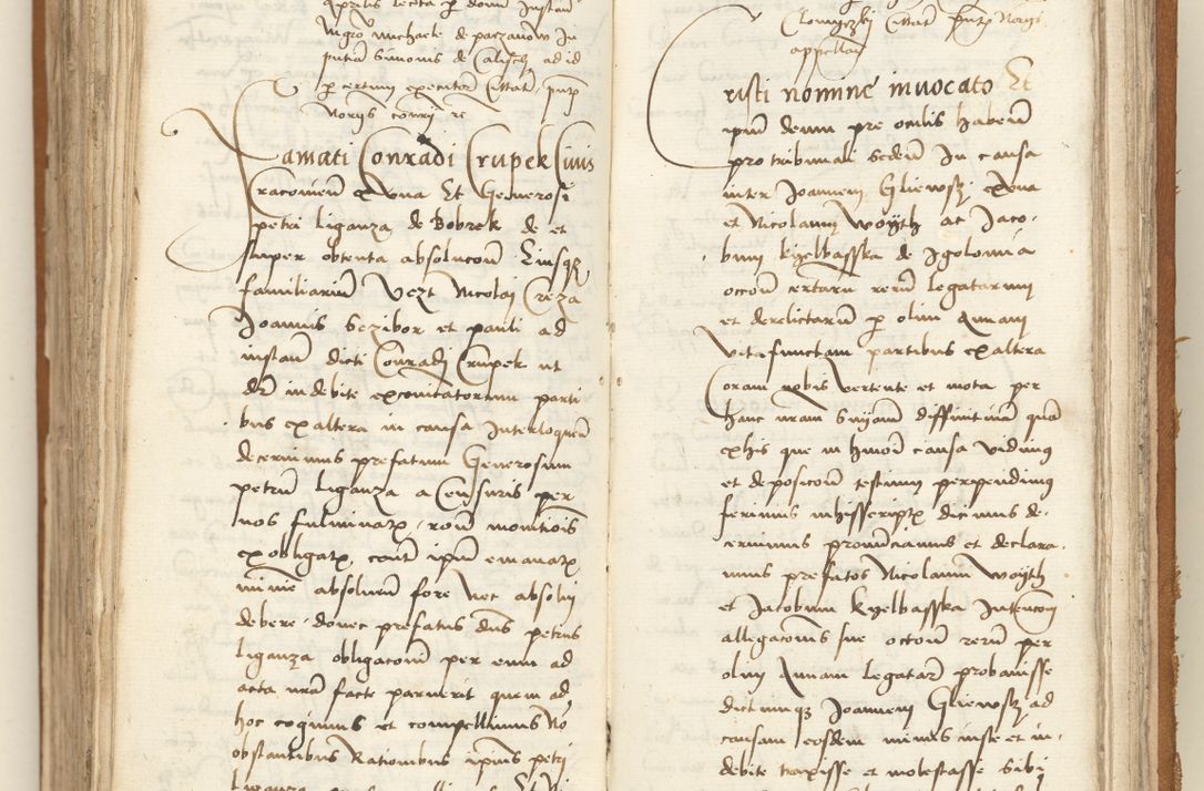 Zdjęcie nr 341 dla obiektu archiwalnego: [Acta sententiarum vicarialia coram Sigismundo de Targowsko]