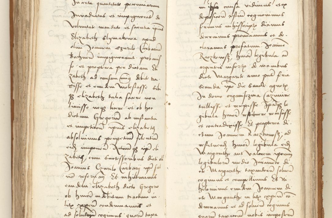 Zdjęcie nr 336 dla obiektu archiwalnego: [Acta sententiarum vicarialia coram Sigismundo de Targowsko]