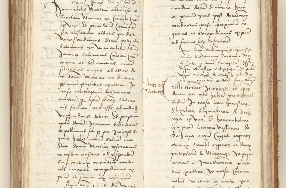 Zdjęcie nr 335 dla obiektu archiwalnego: [Acta sententiarum vicarialia coram Sigismundo de Targowsko]