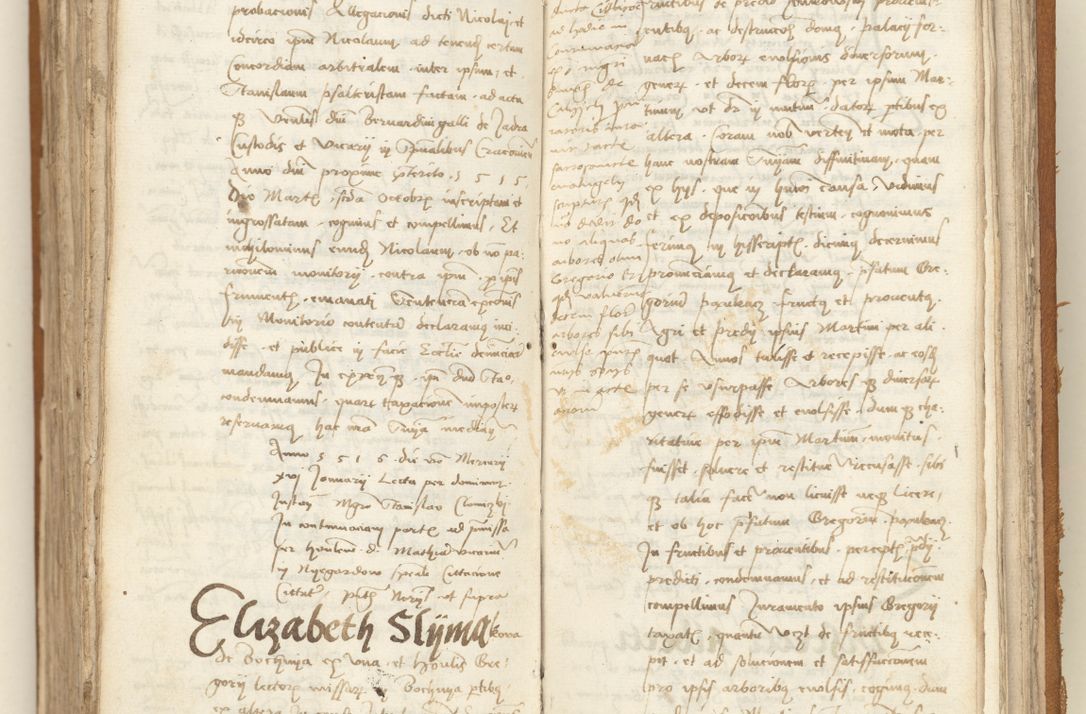 Zdjęcie nr 328 dla obiektu archiwalnego: [Acta sententiarum vicarialia coram Sigismundo de Targowsko]