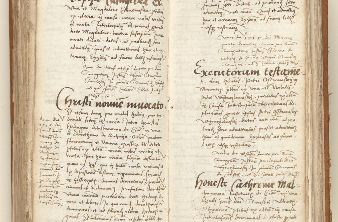 Zdjęcie nr 324 dla obiektu archiwalnego: [Acta sententiarum vicarialia coram Sigismundo de Targowsko]