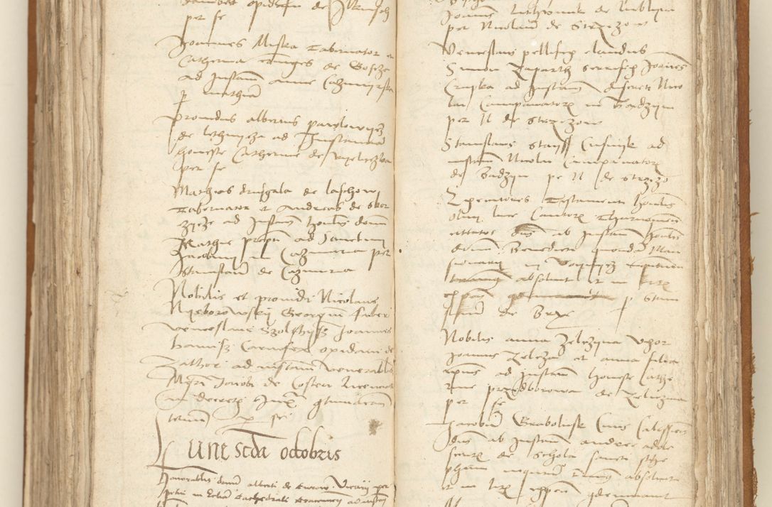 Zdjęcie nr 307 dla obiektu archiwalnego: [Acta sententiarum vicarialia coram Sigismundo de Targowsko]