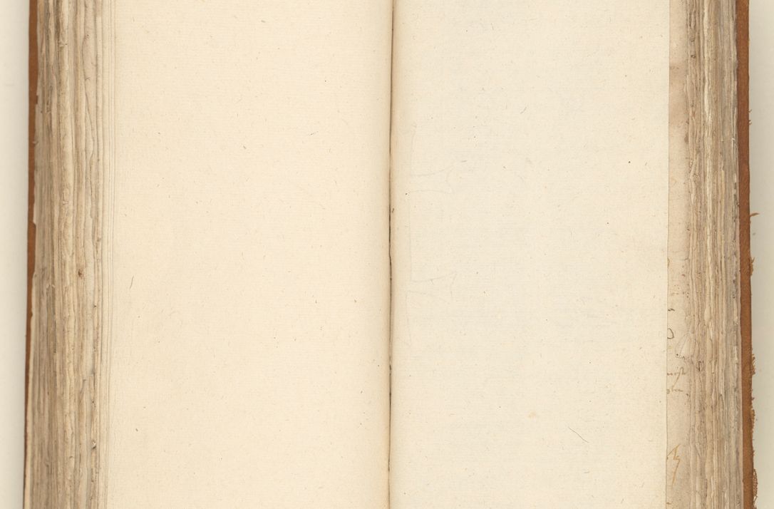 Zdjęcie nr 297 dla obiektu archiwalnego: [Acta sententiarum vicarialia coram Sigismundo de Targowsko]