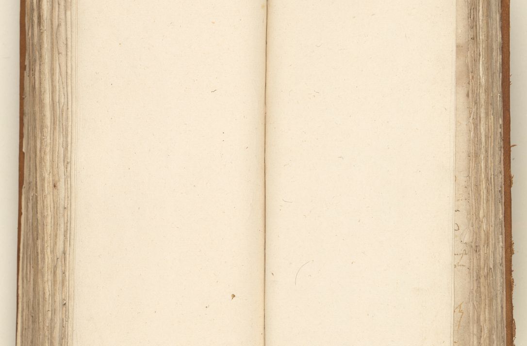 Zdjęcie nr 296 dla obiektu archiwalnego: [Acta sententiarum vicarialia coram Sigismundo de Targowsko]