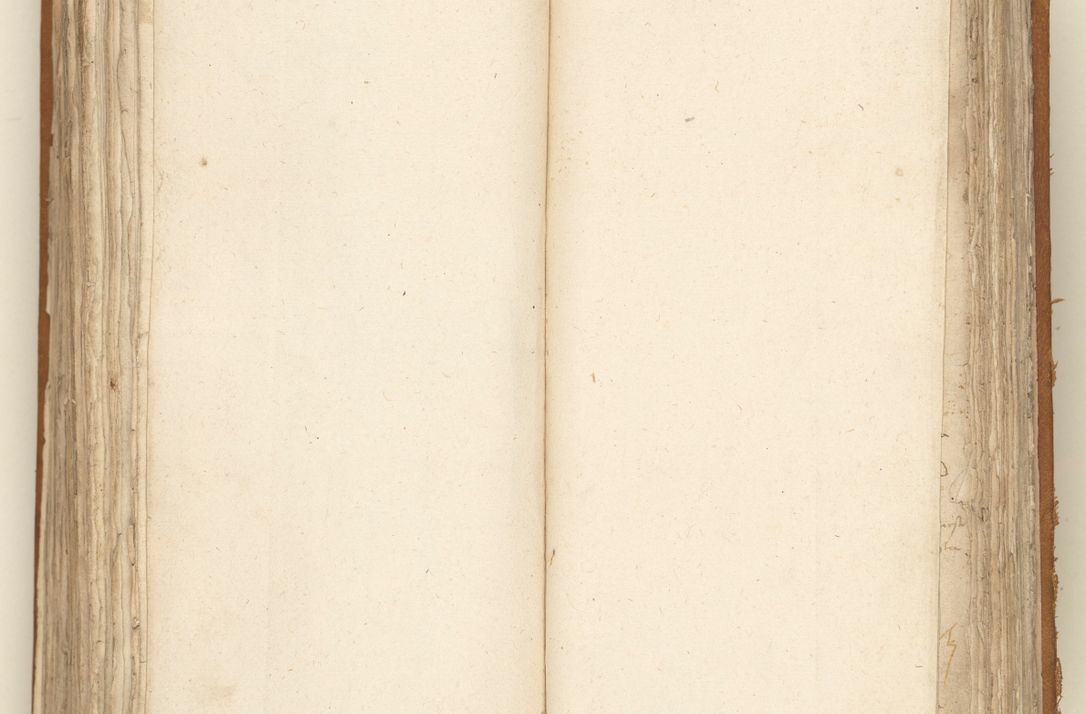 Zdjęcie nr 293 dla obiektu archiwalnego: [Acta sententiarum vicarialia coram Sigismundo de Targowsko]