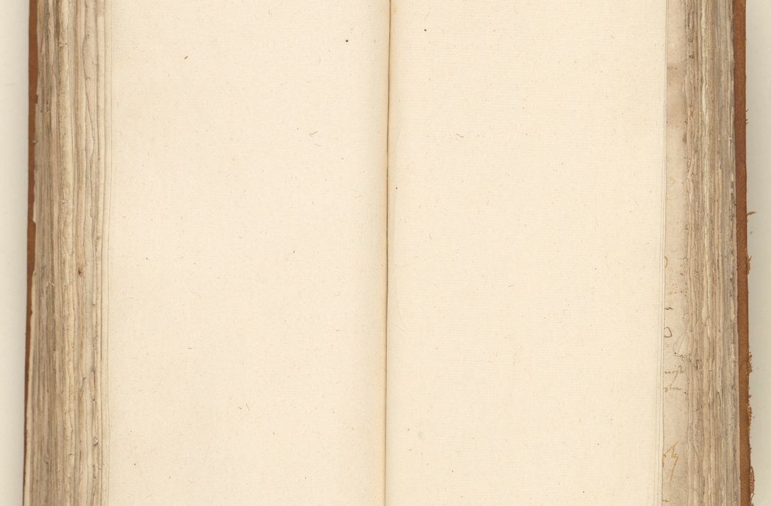 Zdjęcie nr 295 dla obiektu archiwalnego: [Acta sententiarum vicarialia coram Sigismundo de Targowsko]