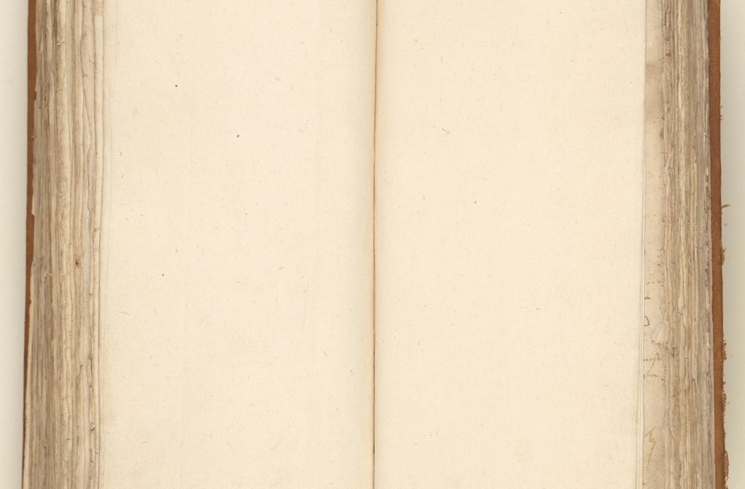 Zdjęcie nr 294 dla obiektu archiwalnego: [Acta sententiarum vicarialia coram Sigismundo de Targowsko]