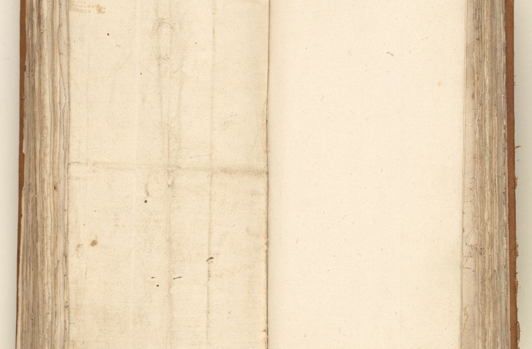 Zdjęcie nr 292 dla obiektu archiwalnego: [Acta sententiarum vicarialia coram Sigismundo de Targowsko]