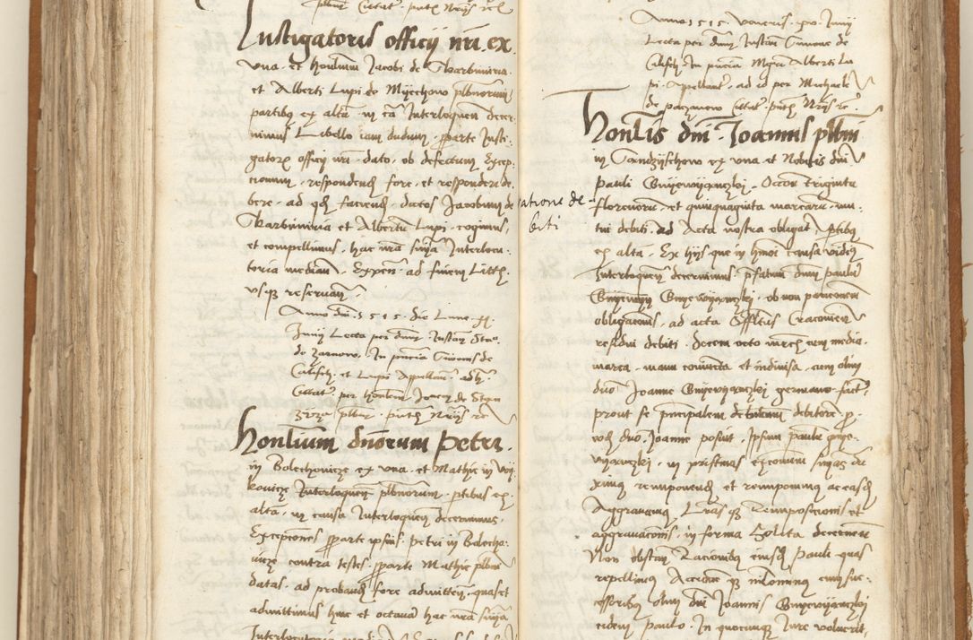 Zdjęcie nr 272 dla obiektu archiwalnego: [Acta sententiarum vicarialia coram Sigismundo de Targowsko]