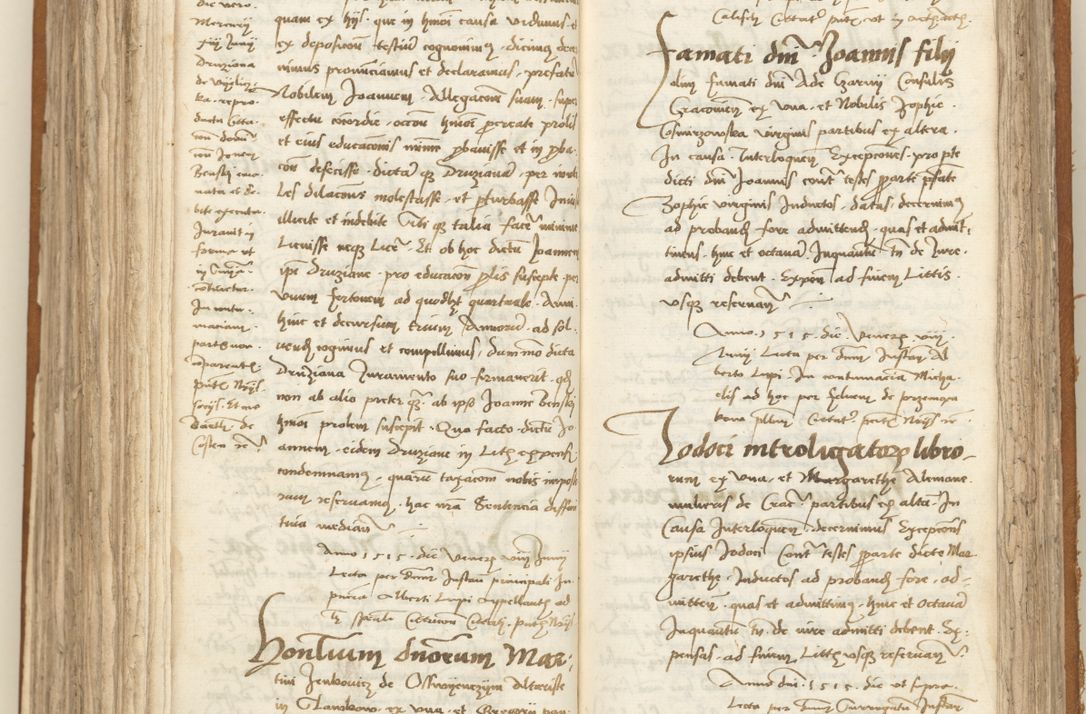 Zdjęcie nr 271 dla obiektu archiwalnego: [Acta sententiarum vicarialia coram Sigismundo de Targowsko]