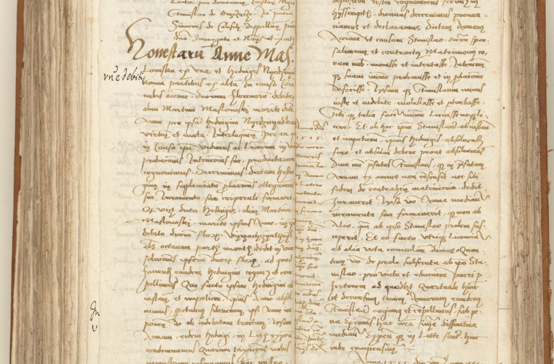 Zdjęcie nr 268 dla obiektu archiwalnego: [Acta sententiarum vicarialia coram Sigismundo de Targowsko]