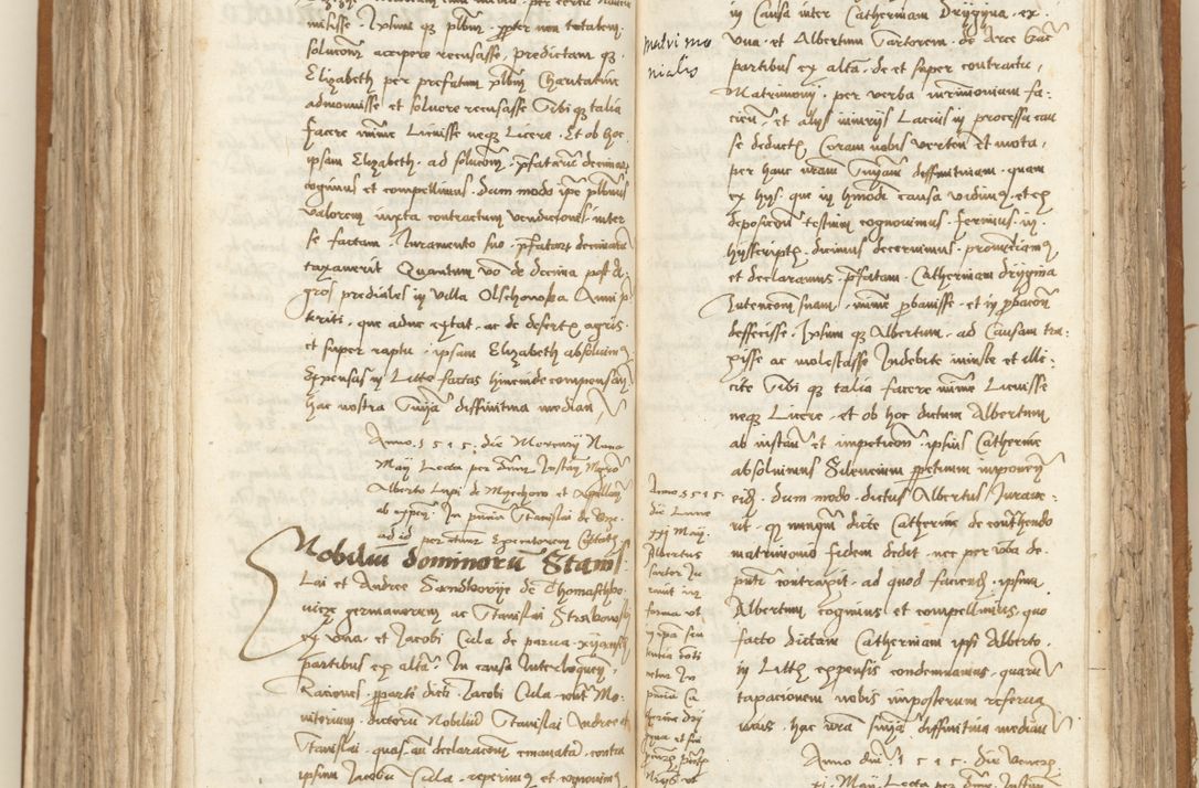 Zdjęcie nr 266 dla obiektu archiwalnego: [Acta sententiarum vicarialia coram Sigismundo de Targowsko]