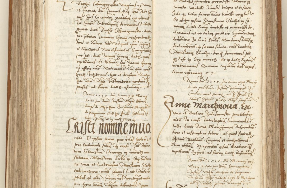 Zdjęcie nr 260 dla obiektu archiwalnego: [Acta sententiarum vicarialia coram Sigismundo de Targowsko]