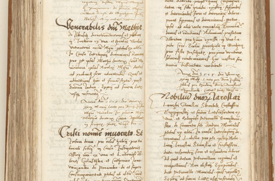 Zdjęcie nr 261 dla obiektu archiwalnego: [Acta sententiarum vicarialia coram Sigismundo de Targowsko]