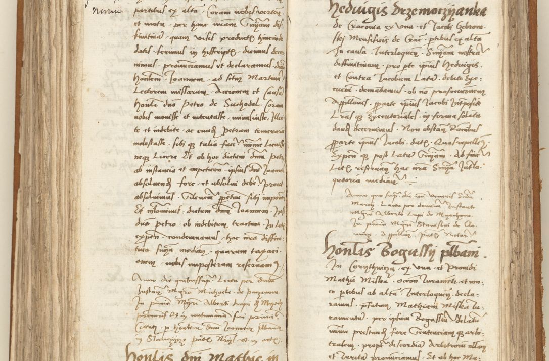 Zdjęcie nr 257 dla obiektu archiwalnego: [Acta sententiarum vicarialia coram Sigismundo de Targowsko]