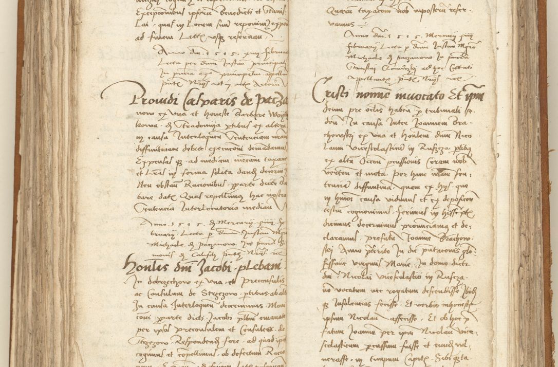 Zdjęcie nr 255 dla obiektu archiwalnego: [Acta sententiarum vicarialia coram Sigismundo de Targowsko]