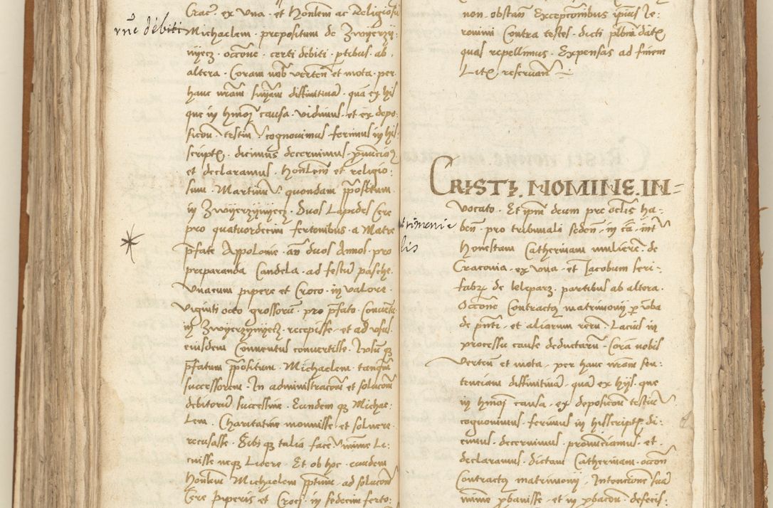 Zdjęcie nr 253 dla obiektu archiwalnego: [Acta sententiarum vicarialia coram Sigismundo de Targowsko]