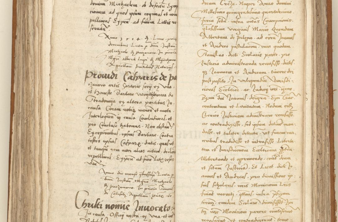 Zdjęcie nr 244 dla obiektu archiwalnego: [Acta sententiarum vicarialia coram Sigismundo de Targowsko]