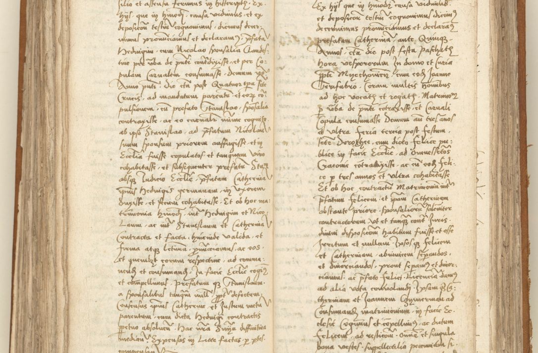 Zdjęcie nr 239 dla obiektu archiwalnego: [Acta sententiarum vicarialia coram Sigismundo de Targowsko]