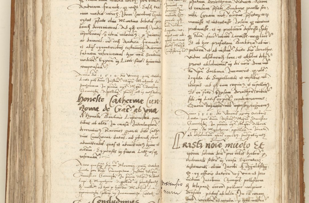 Zdjęcie nr 234 dla obiektu archiwalnego: [Acta sententiarum vicarialia coram Sigismundo de Targowsko]