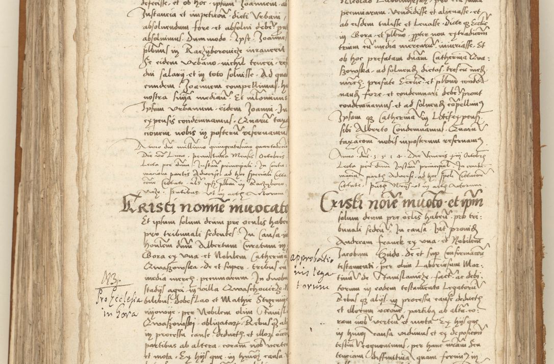 Zdjęcie nr 233 dla obiektu archiwalnego: [Acta sententiarum vicarialia coram Sigismundo de Targowsko]