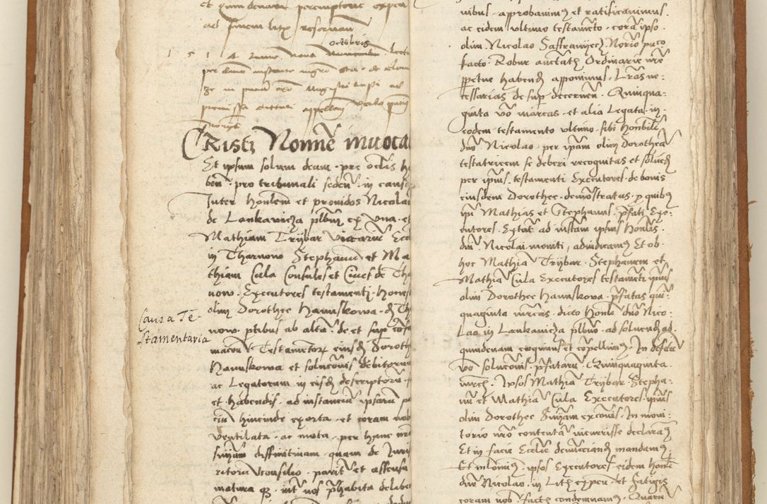 Zdjęcie nr 231 dla obiektu archiwalnego: [Acta sententiarum vicarialia coram Sigismundo de Targowsko]