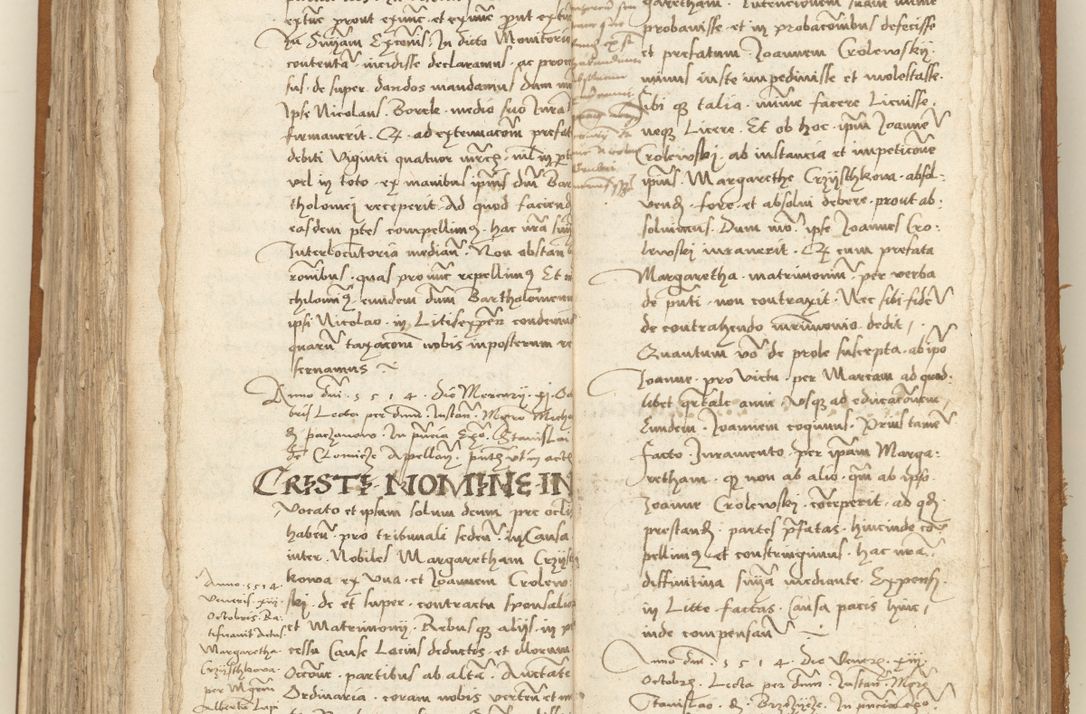 Zdjęcie nr 232 dla obiektu archiwalnego: [Acta sententiarum vicarialia coram Sigismundo de Targowsko]