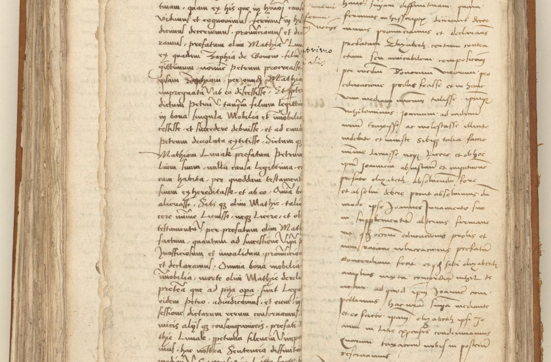 Zdjęcie nr 230 dla obiektu archiwalnego: [Acta sententiarum vicarialia coram Sigismundo de Targowsko]