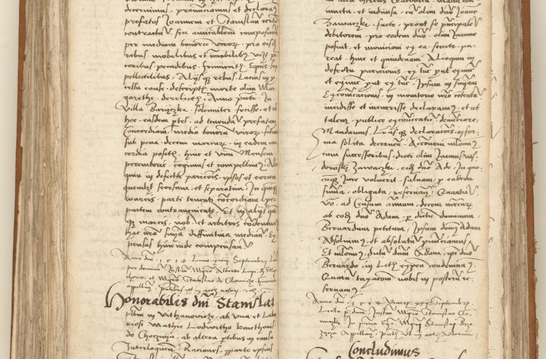 Zdjęcie nr 227 dla obiektu archiwalnego: [Acta sententiarum vicarialia coram Sigismundo de Targowsko]