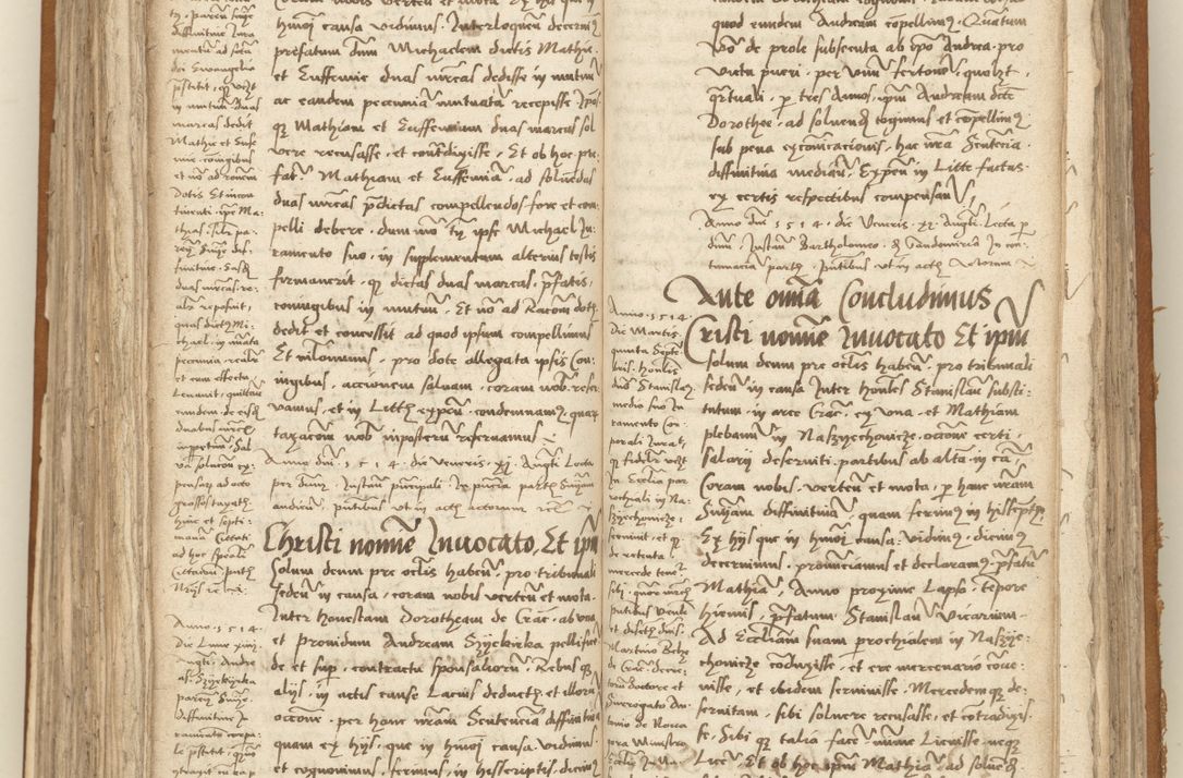 Zdjęcie nr 225 dla obiektu archiwalnego: [Acta sententiarum vicarialia coram Sigismundo de Targowsko]