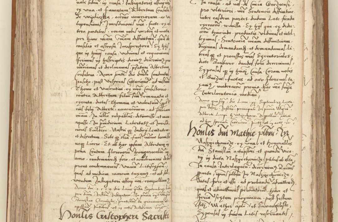 Zdjęcie nr 226 dla obiektu archiwalnego: [Acta sententiarum vicarialia coram Sigismundo de Targowsko]