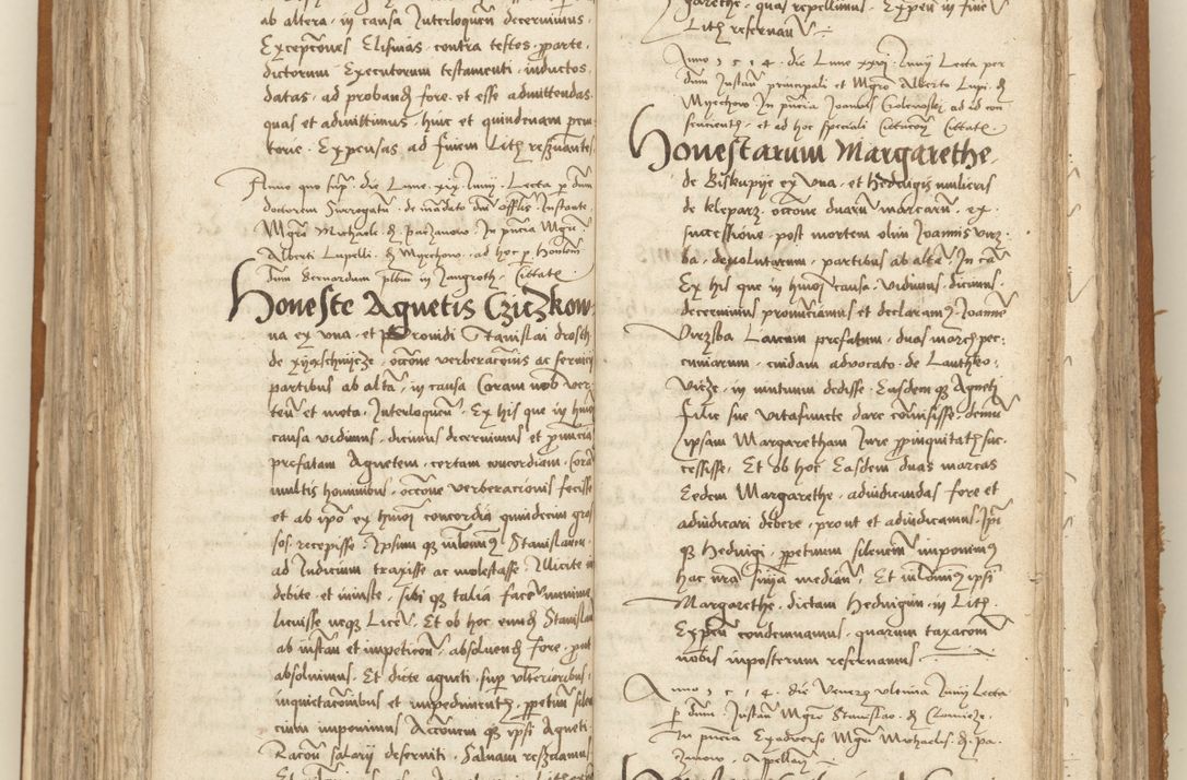 Zdjęcie nr 219 dla obiektu archiwalnego: [Acta sententiarum vicarialia coram Sigismundo de Targowsko]