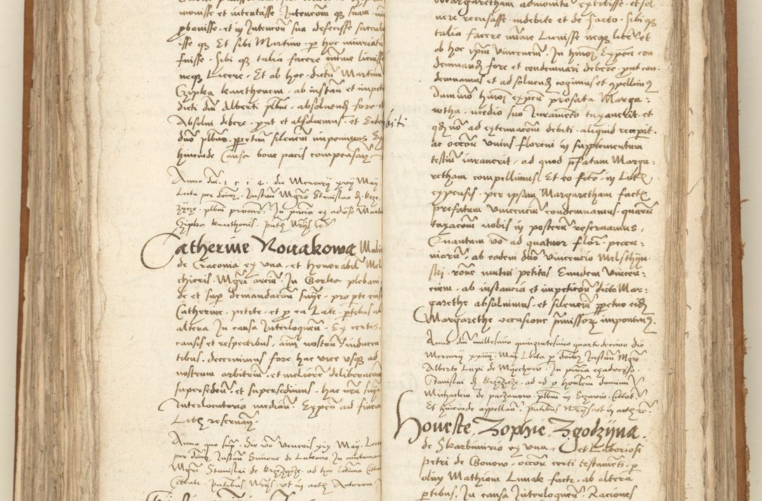 Zdjęcie nr 216 dla obiektu archiwalnego: [Acta sententiarum vicarialia coram Sigismundo de Targowsko]