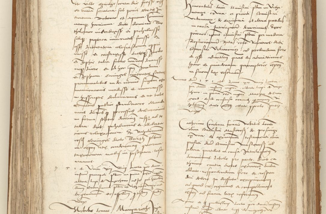 Zdjęcie nr 215 dla obiektu archiwalnego: [Acta sententiarum vicarialia coram Sigismundo de Targowsko]