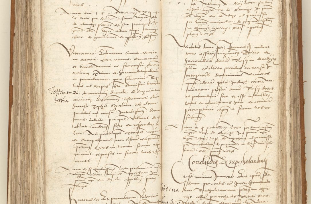 Zdjęcie nr 214 dla obiektu archiwalnego: [Acta sententiarum vicarialia coram Sigismundo de Targowsko]