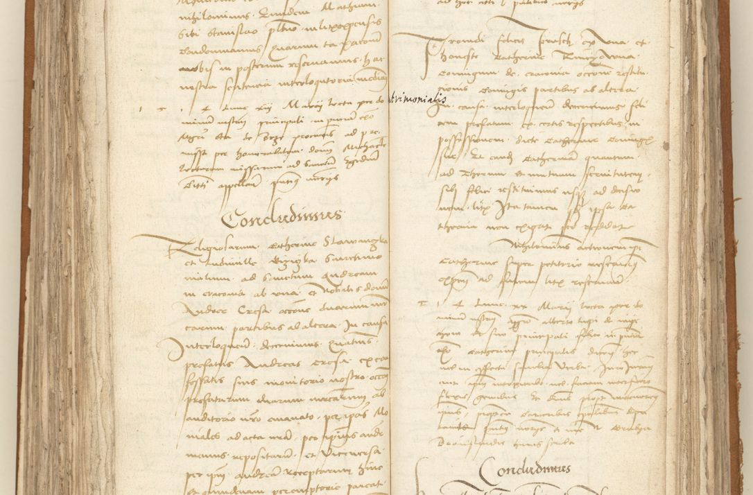 Zdjęcie nr 208 dla obiektu archiwalnego: [Acta sententiarum vicarialia coram Sigismundo de Targowsko]