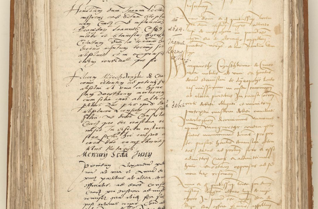 Zdjęcie nr 206 dla obiektu archiwalnego: [Acta sententiarum vicarialia coram Sigismundo de Targowsko]