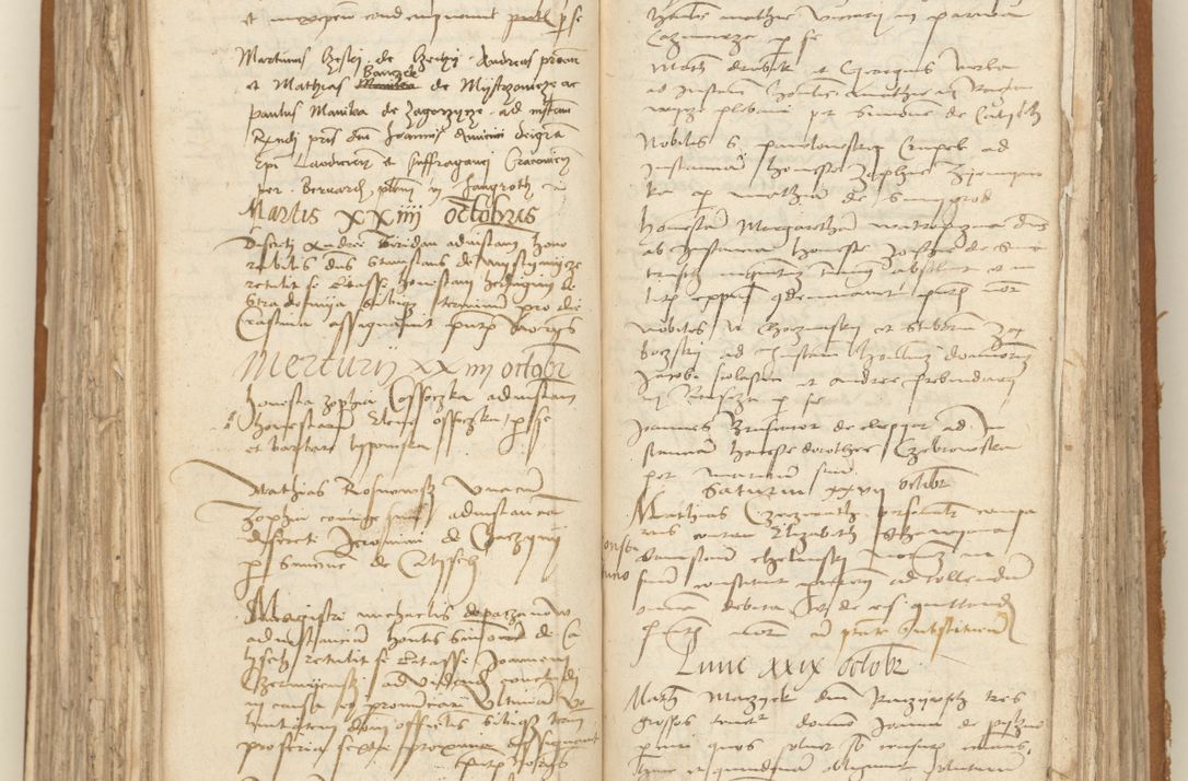 Zdjęcie nr 188 dla obiektu archiwalnego: [Acta sententiarum vicarialia coram Sigismundo de Targowsko]