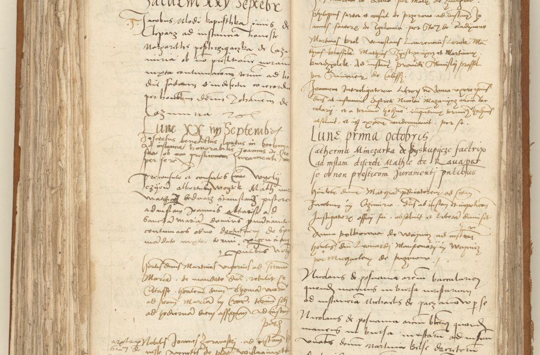 Zdjęcie nr 183 dla obiektu archiwalnego: [Acta sententiarum vicarialia coram Sigismundo de Targowsko]