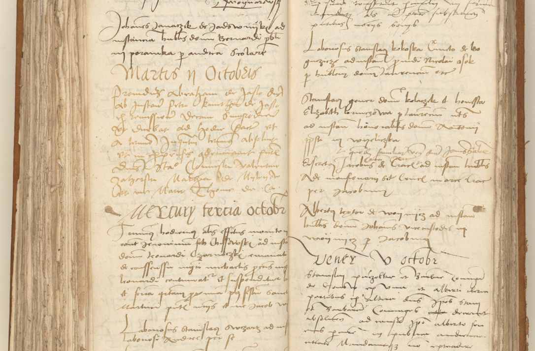 Zdjęcie nr 184 dla obiektu archiwalnego: [Acta sententiarum vicarialia coram Sigismundo de Targowsko]