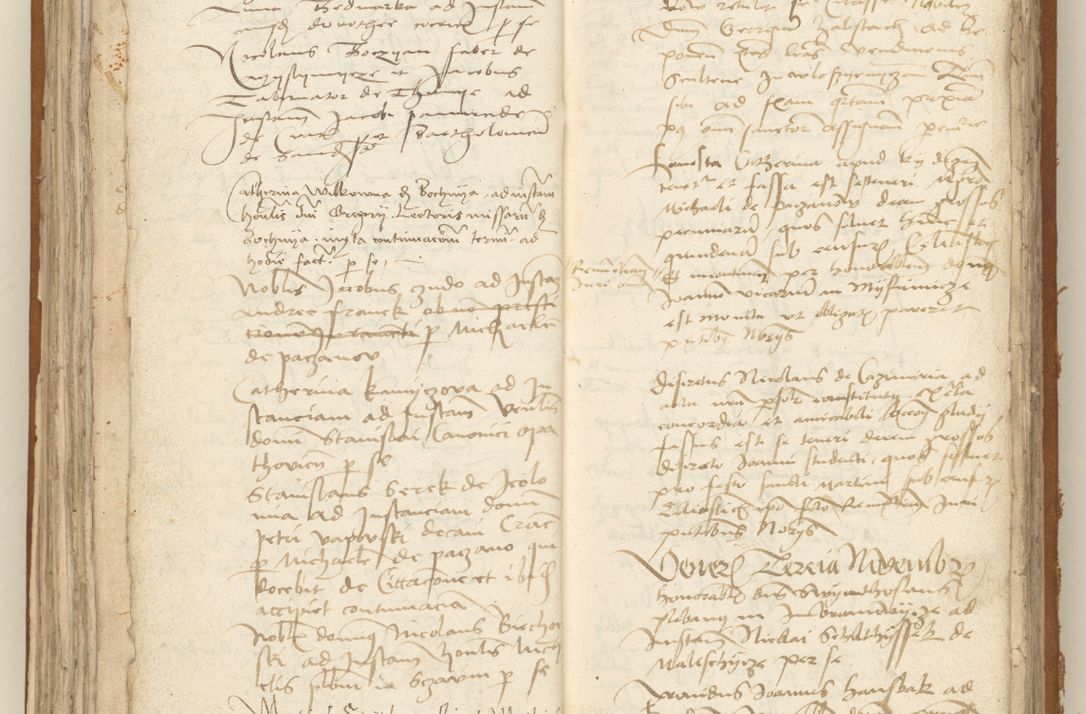 Zdjęcie nr 137 dla obiektu archiwalnego: [Acta sententiarum vicarialia coram Sigismundo de Targowsko]