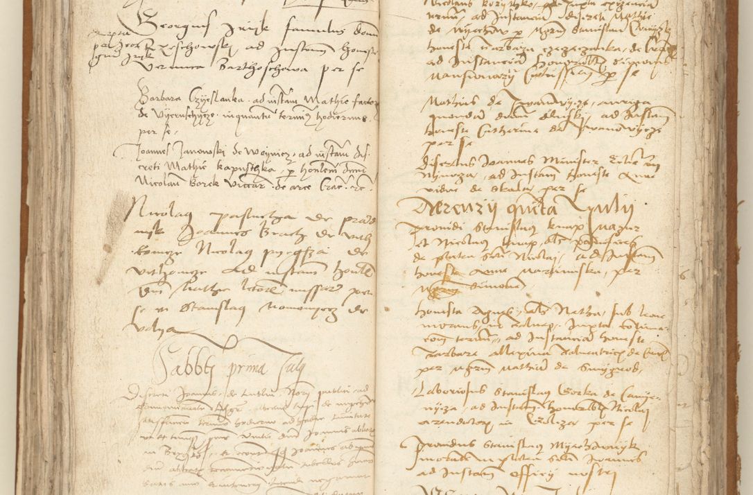 Zdjęcie nr 133 dla obiektu archiwalnego: [Acta sententiarum vicarialia coram Sigismundo de Targowsko]