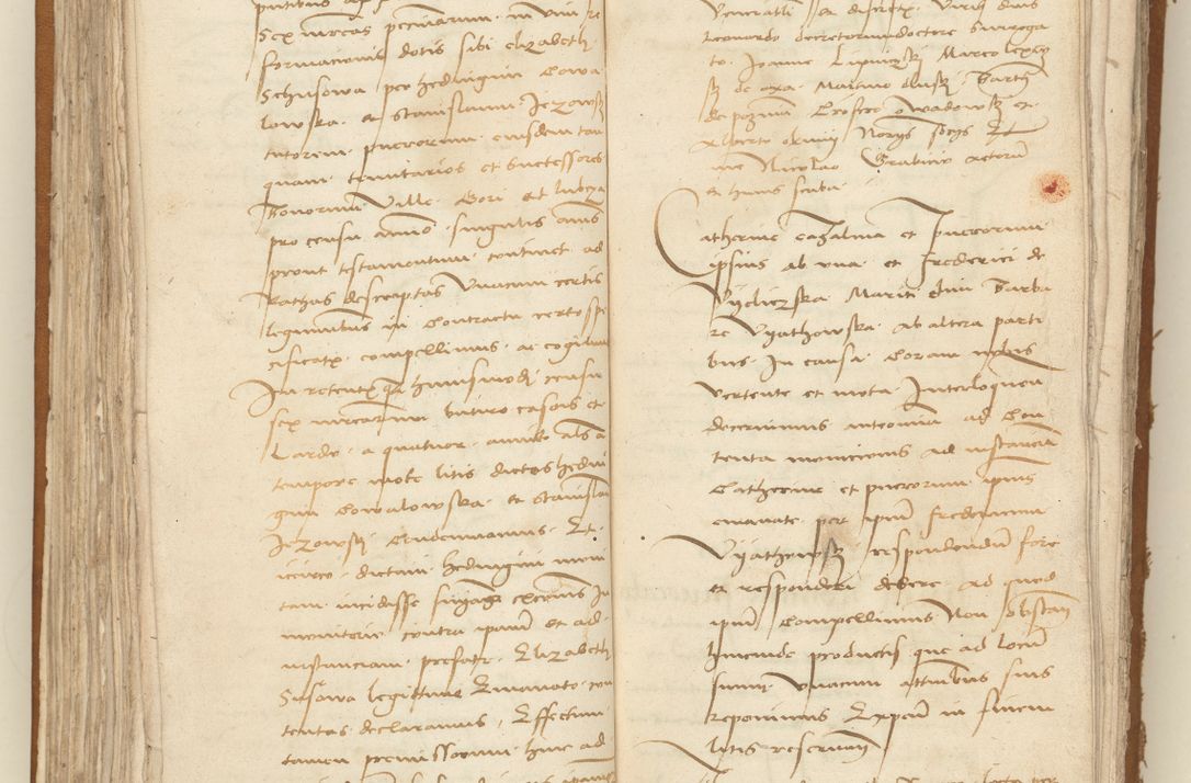 Zdjęcie nr 95 dla obiektu archiwalnego: [Acta sententiarum vicarialia coram Sigismundo de Targowsko]