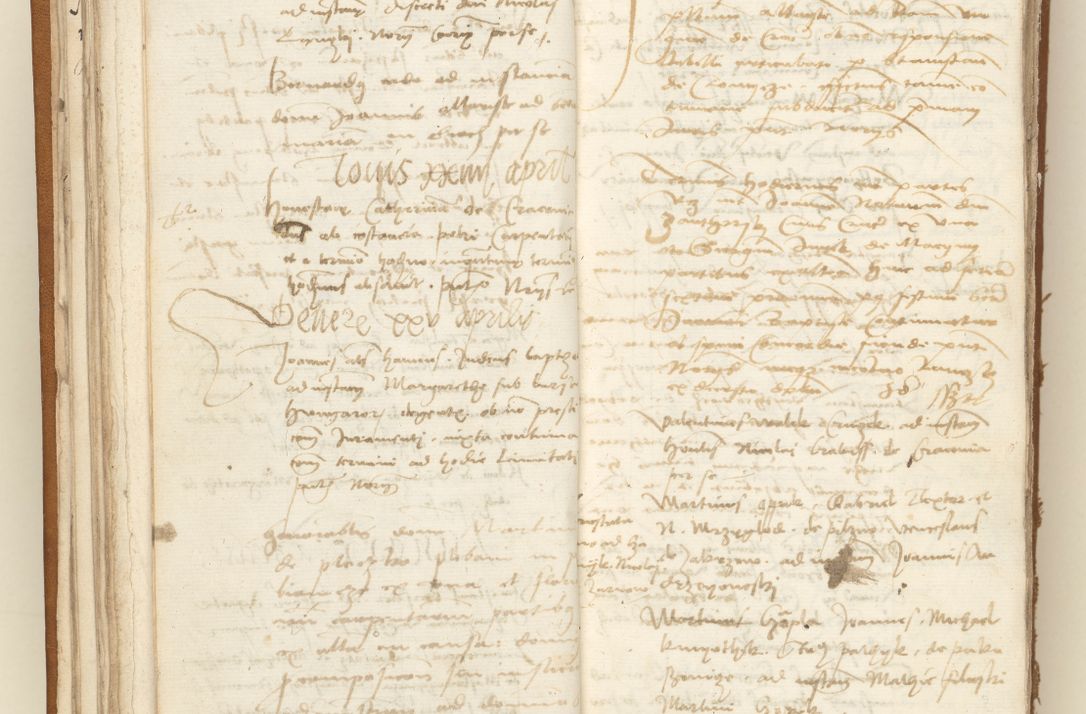 Zdjęcie nr 29 dla obiektu archiwalnego: [Acta sententiarum vicarialia coram Sigismundo de Targowsko]