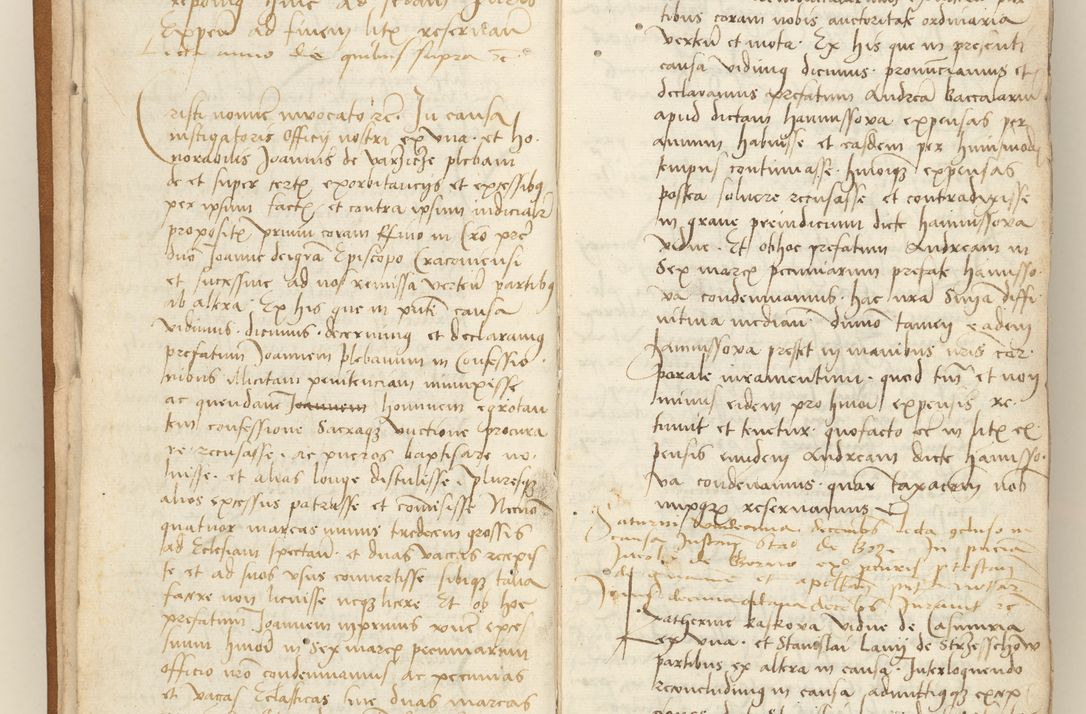 Zdjęcie nr 10 dla obiektu archiwalnego: [Acta sententiarum vicarialia coram Sigismundo de Targowsko]