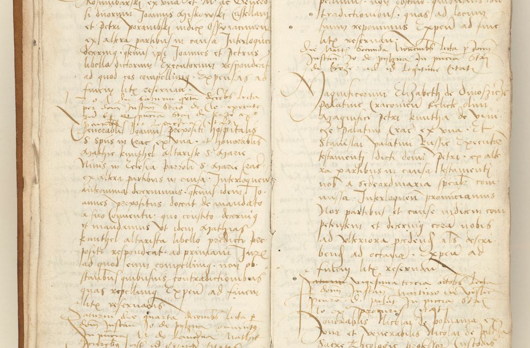 Zdjęcie nr 9 dla obiektu archiwalnego: [Acta sententiarum vicarialia coram Sigismundo de Targowsko]